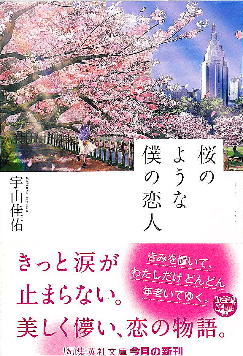 桜のような僕の恋人 優しく悲しい小説 シナリオ センター