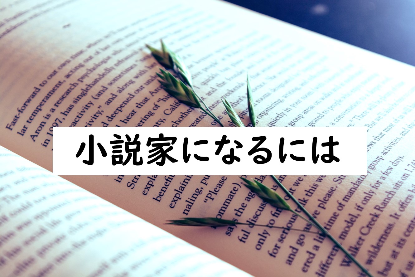 小説 家 に なるには 主婦